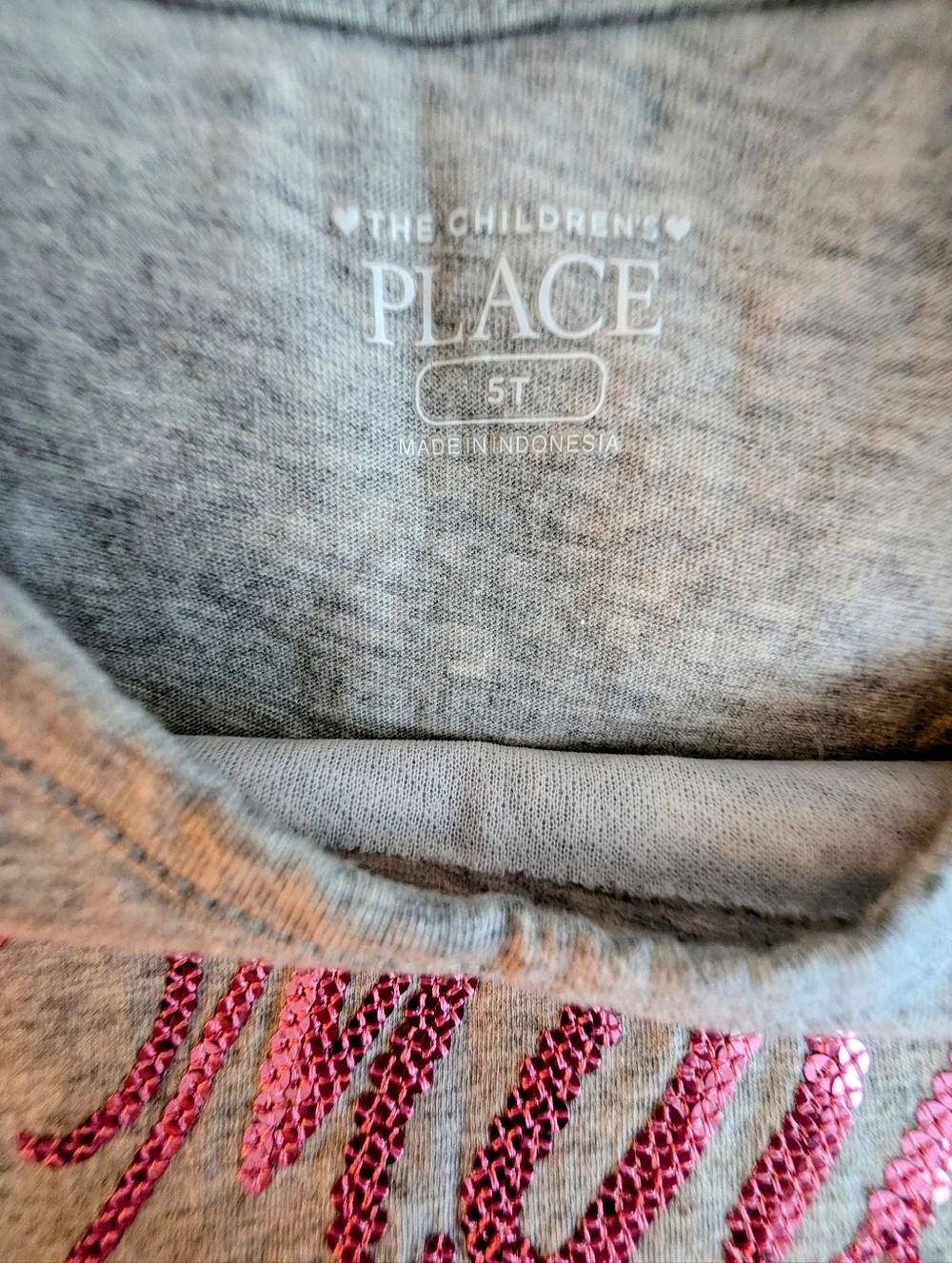 The Children's Place Girls Grey Top with Pink Tulle 'Mini Diva' Dress Size 5T